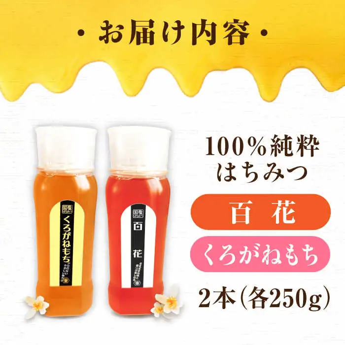 はちみつ チューブ2本セット（百花・くろがねもち）各250g [APBO011] はちみつ