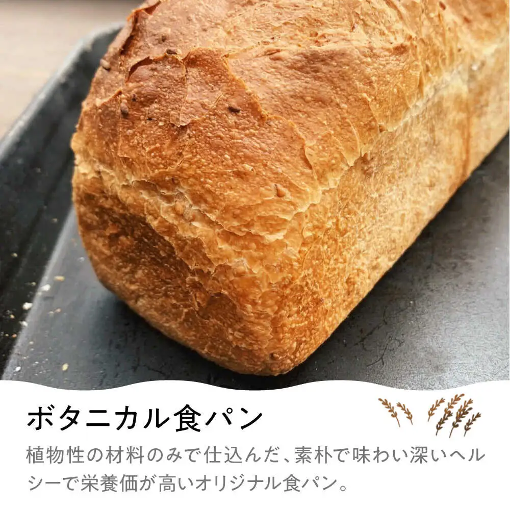 豊かな風味パンセレクション8個セット[APCI003] パン 詰め合わせ