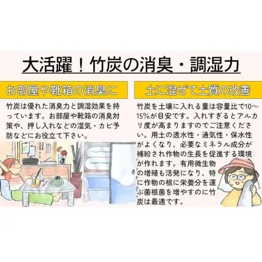 伏せ窯竹炭 3kg 消臭 調湿