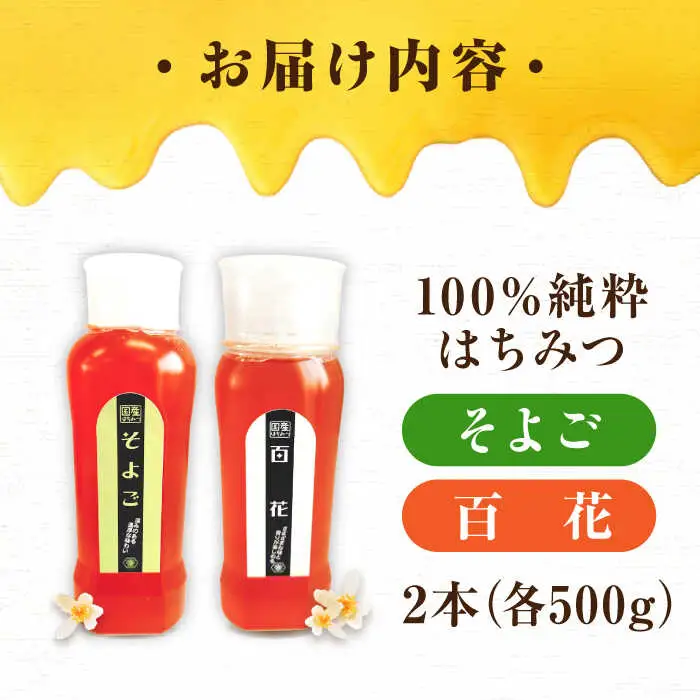 はちみつ チューブ2本セット（百花・そよご）各500g [APBO004] はちみつ