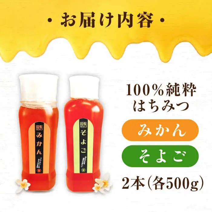 はちみつ チューブ2本セット（みかん・そよご）各500g [APBO006] はちみつ