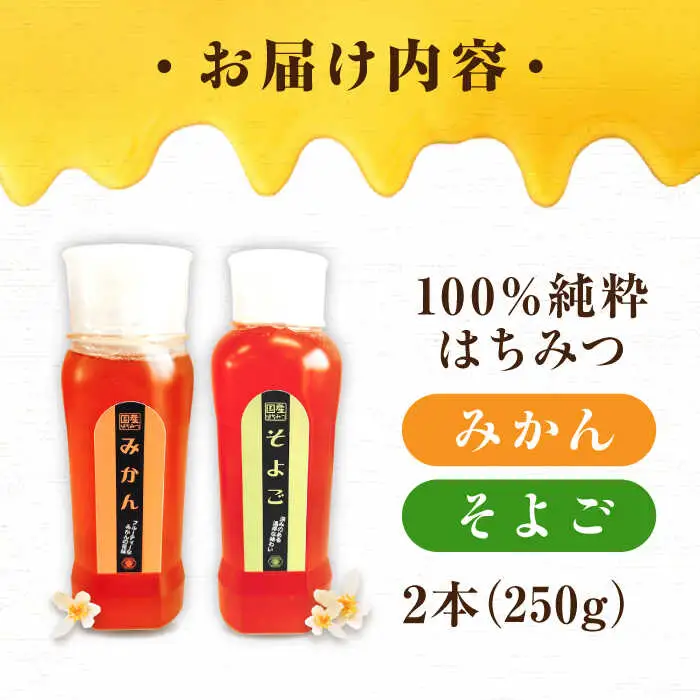 はちみつ チューブ2本セット（みかん・そよご）各250g [APBO012] はちみつ
