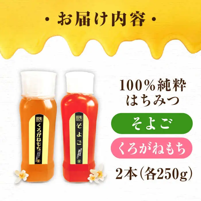 はちみつ チューブ2本セット（そよご・くろがねもち）各250g [APBO014] はちみつ