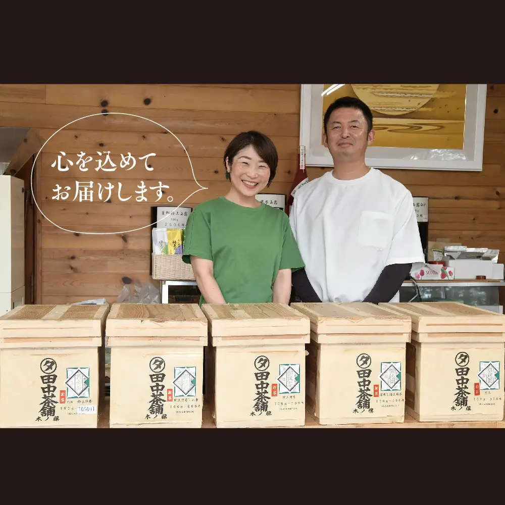普段使いに「煎茶」200g×5本(H047131)