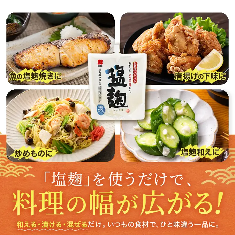 塩麹 お徳用セット 麹 セット 広島 安芸高田市