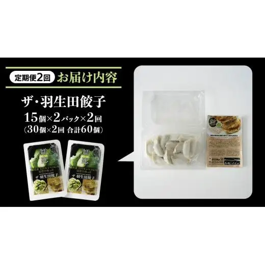 【 定期便 隔月2回 】 まぼろしのキャベツ419使用 ザ・羽生田餃子 15個 × 2パック 計30個 × 2回 ( 合計 60個 ) [AL017tu]