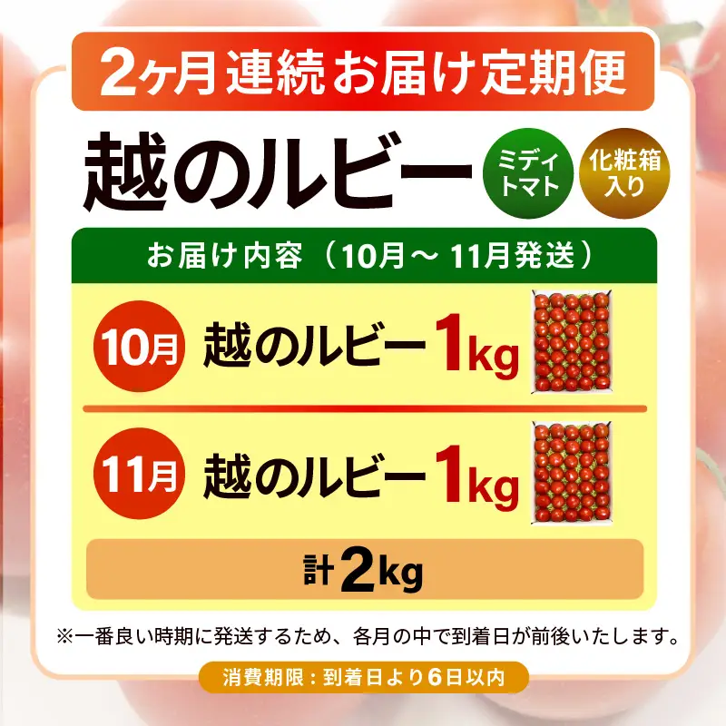 定期便 2ヶ月連続お届け フルーツトマト 越のルビー 1kg（10月～11月） 化粧箱入り 2026年10月上旬以降順次発送 とまと 野菜 [A-19106]