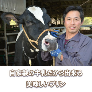 CK017_牧場プリン3　季節のプリン詰合せ