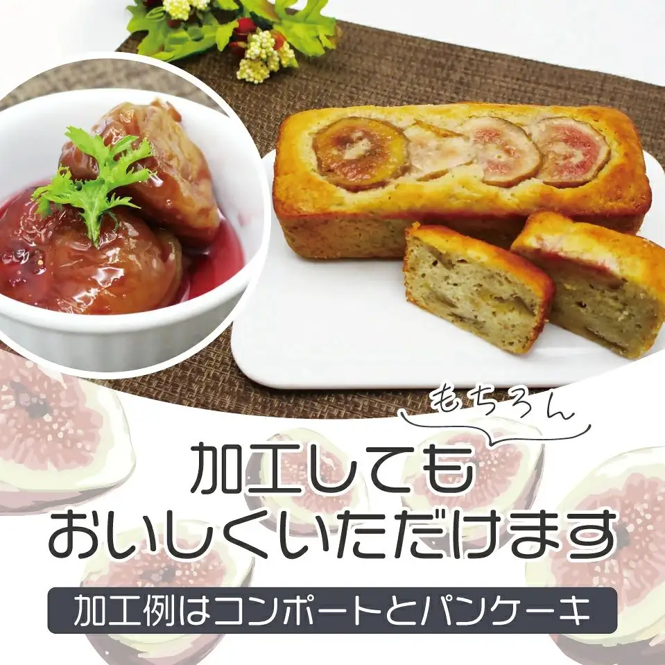 訳あり冷凍いちじく（とよみつひめ」）2kg【JAほたるの里】_HA1659