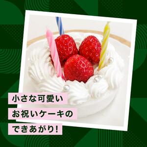 【TOIRO】 米粉ろおる（スノーホワイト）8個入｜十日町すこやかファクトリー ケーキ ロールケーキ 豆乳 米粉 洋菓子 新潟県 十日町市