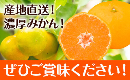 【先行予約】秀品 贈答用 宮川 早生 みかん 約 5kg (2S～2Lサイズ) みかん