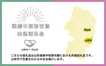 ジェラート おまかせ 8個 セット 隔月定期便 全6回 手作り アイス 国産 詰め合わせ COZAB GELATO cb-gesxx8_tk6 ※沖縄・離島への配送不可