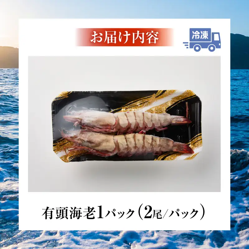 〈高級〉KING SEA TIGER 王の海老2尾・K305-12
