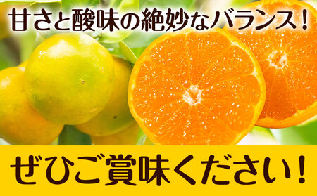 【先行予約】秀品 贈答用 ゆら 早生みかん 約 10kg (2S～2Lサイズ) みかん