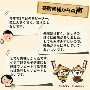 【令和9年1月より発送開始】香月さんちのいちご(さがほのか)280g×4パック(H017116)