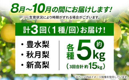 【先行予約】【3回定期便】 梨 約5kg 計約15kg（豊水・秋月・新高）  梨 ナシ フルーツ 果物 【日本フルーツ株式会社】 [ZFJ024]