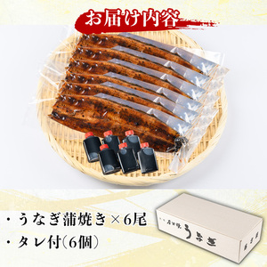 国産！うなぎ蒲焼き(6尾・タレ付き) 国産 九州産 鹿児島県 宮崎県 鰻 ウナギ unagi うな重 うな丼 ひつまぶし うなじゅう 蒲焼 かばやき 白焼 しらやき 無頭 魚 魚介類 土用 丑の日 タレ タレ付 おかず 惣菜 冷蔵 特産品 お土産 ギフト プレゼント ご贈答用 【尾方屋】_y512