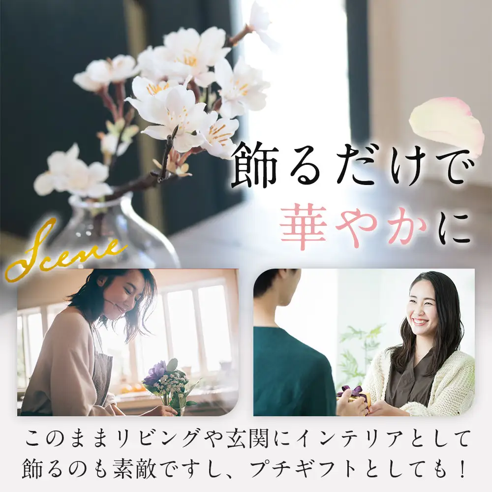 新春　淡雪桜　さくら　魔法の水　マジカルウォーター『淡雪』