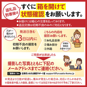 2027年2月～3月発送】贈答用：完熟「古都華」奈良ブランドいちご特大6L