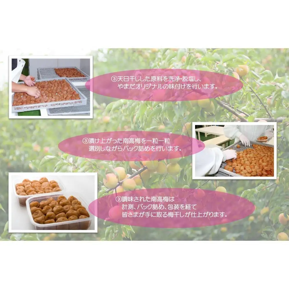 紀州南高梅 「花」 塩分約6％ 850g ［YM8］