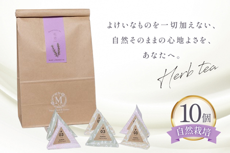ハーブティー デイリーパック 花恋 10個入り