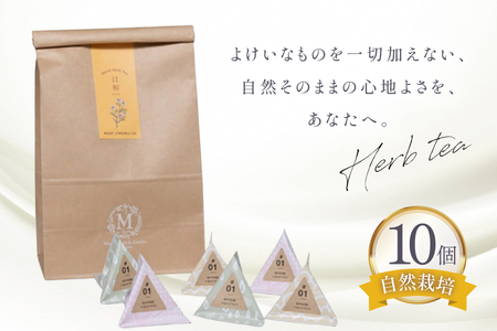 ハーブティー デイリーパック 日和 10個入り