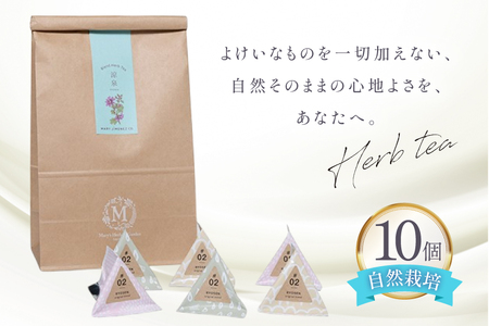 ハーブティー デイリーパック 涼泉 10個入り