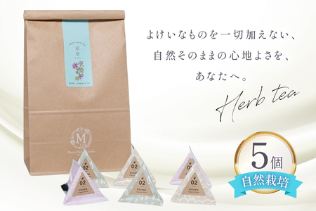 ハーブティー デイリーパック 涼泉 5個入り