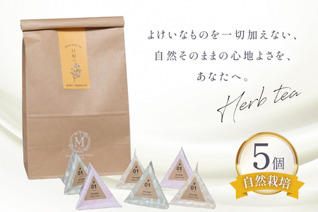 ハーブティー デイリーパック 日和 5個入り