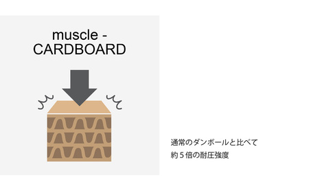 ダストボックス mCB 収納強化ダンボール日本製ダストボックス【10L×2】