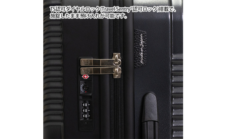 N700系typeA 東海道新幹線 モケットハードスーツケース 61L MIDDLE No.5702277 旅行 旅  出張 アップサイクル 再利用 リサイクル 電車 鉄道  北海道 国産 日本製 エースラゲージ 赤平市