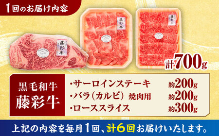 【6回定期便】くまもと黒毛和牛 藤彩牛 サーロインステーキと2種の食べ比べ  3903【有限会社 スイートサプライなかぞの】[ZDT140]