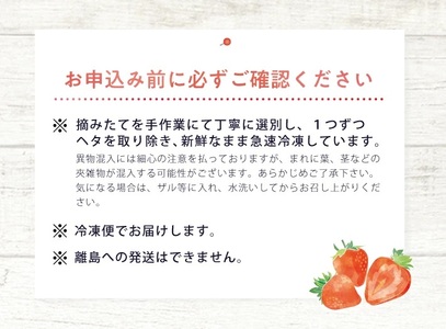 冷凍いちご1.0kg(500g×2袋) 山形県産 冷凍便 ※離島発送不可 冷凍 冷凍フルーツ いちご イチゴ 苺 サマーティアラ フルーツ ジャム ジュース スムージー 小分け お菓子作り ゆざ食彩工房 遊佐町 庄内 東北 [1431IC1000G]