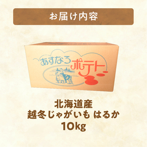 【先行受付】【2027年3月～4月頃発送予定】低温貯蔵！ホクホク あま～い！北海道産 越冬じゃがいも はるか 約10kg  芋 _S041-0010-2027