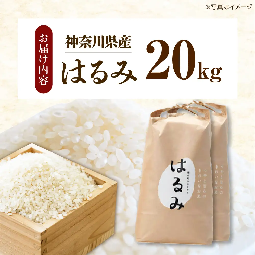 【先行予約】【遠藤ファーム】 はるみ 新米 新米 20kg 令和8年産  [BDAF003]
