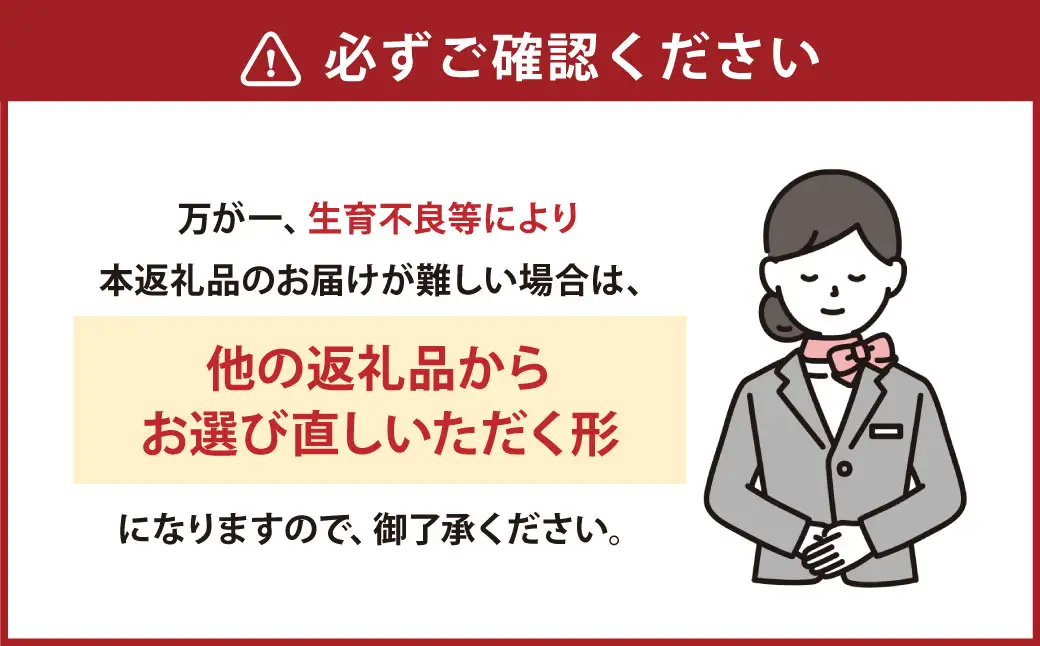 熊本県産 デコポン （4玉）・完熟みかん （1.5kg） セット 【2027年1月上旬発送開始】 果物 フルーツ 柑橘 でこぽん みかん 完熟