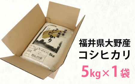 【令和7年産】福井県大野産コシヒカリ（白米）5kg