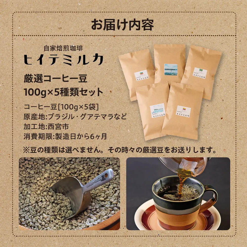 コーヒー 厳選コーヒー豆100g×5種類セット