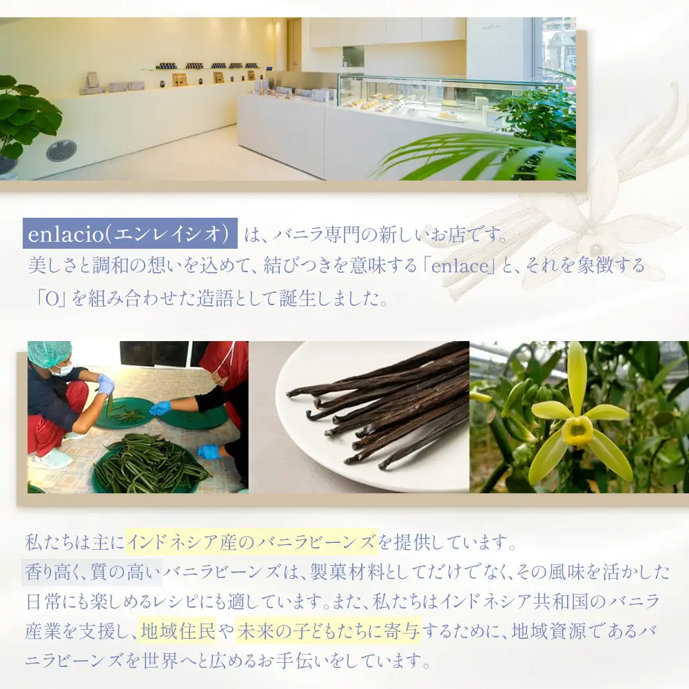 フロマージュ とろーりバニラフロマージュ＜9個入＞