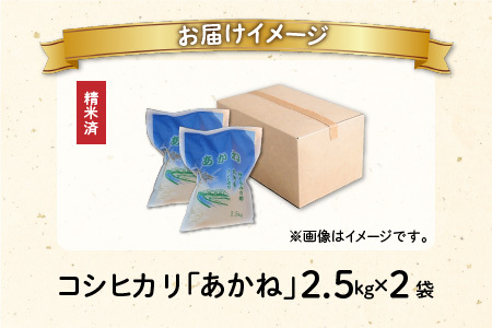 【先行予約】【令和7年産 新米】福井県大野市産 JGAP認証 コシヒカリ「あかね」5kg（2.5kg×2）小分け 