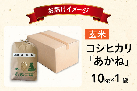 【先行予約】【令和7年産 新米】福井県大野市産 JGAP認証 コシヒカリ「あかね」（玄米）10kg