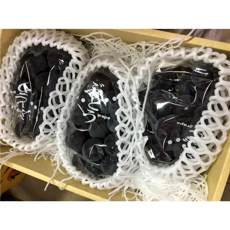 【先行予約】黒ぶどう詰め合わせ（1.5kg以上／3～4房）（2027年8月上旬～発送）　ふるさと納税 ぶどう ブドウ 葡萄 セット 詰め合わせ 期間限定 くだもの 果物 先行申込 農家応援 生産者応援 送料無料