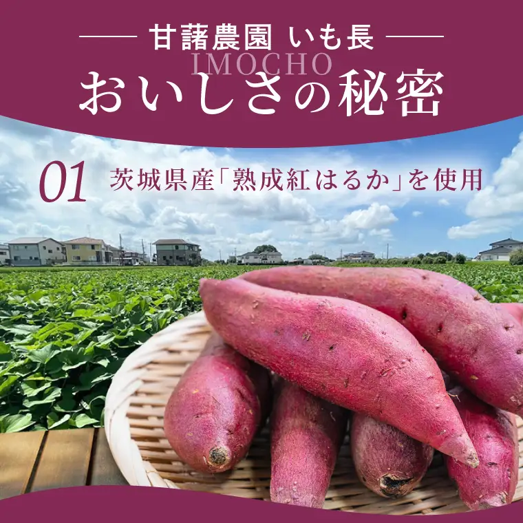 干し芋 切り落とし はづつこ 2kg 熟成 紅はるか さつまいも 干しいも ほしいも ほし芋 無添加 国産 産地直送 茨城 （56-20）