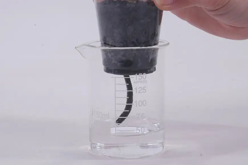 観葉植物 ウォータリウム ビーカーM 炭植え 3個 セット ～オススメの観葉植物をお届け～