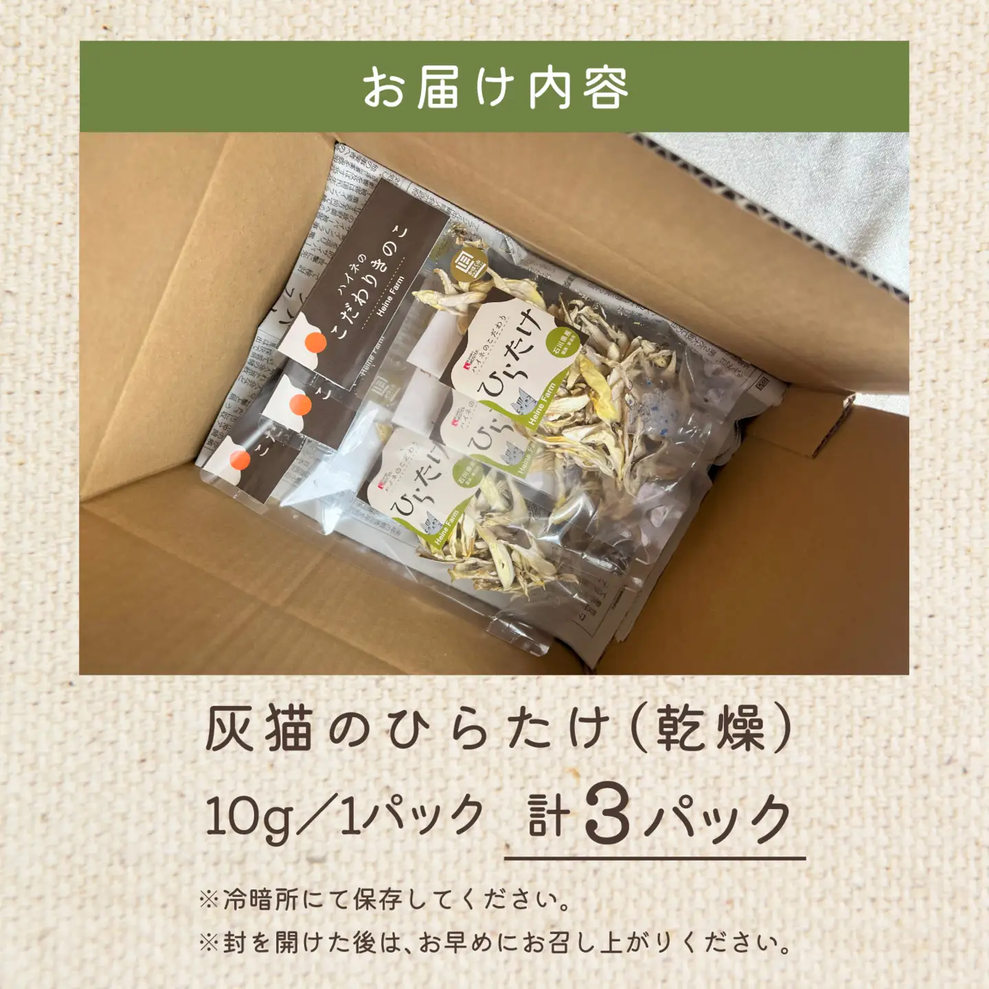 灰猫のひらたけ（乾燥）