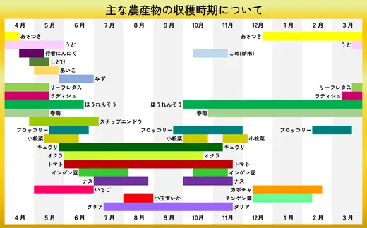 米野菜・山菜セット（5品目ほど）【115P3203】【ひない渡辺農園しどけ村】
