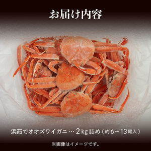 【訳あり】浜茹でオオズワイガニ 2kg 詰めセット 北海道噴火湾産 かに ずわい _HD206-001