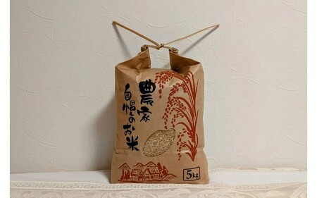 令和７年産 白川の美米 ５kg 令和7年産 南小国産 玄米 白米 3分づき 5分づき 7分づき 森のくまさん 精米 米 お米 ご飯 ごはん 無農薬 農薬不使用 自然栽培 産地直送 白川自然農園 熊本 南小国 送料無料