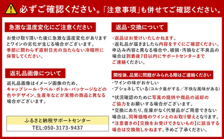 【通常3本セット】FD323  福智山ダム熟成 スパークリングワイン 3本詰め合わせ セット 750ml 熟成ワイン ワイン 酒 お酒