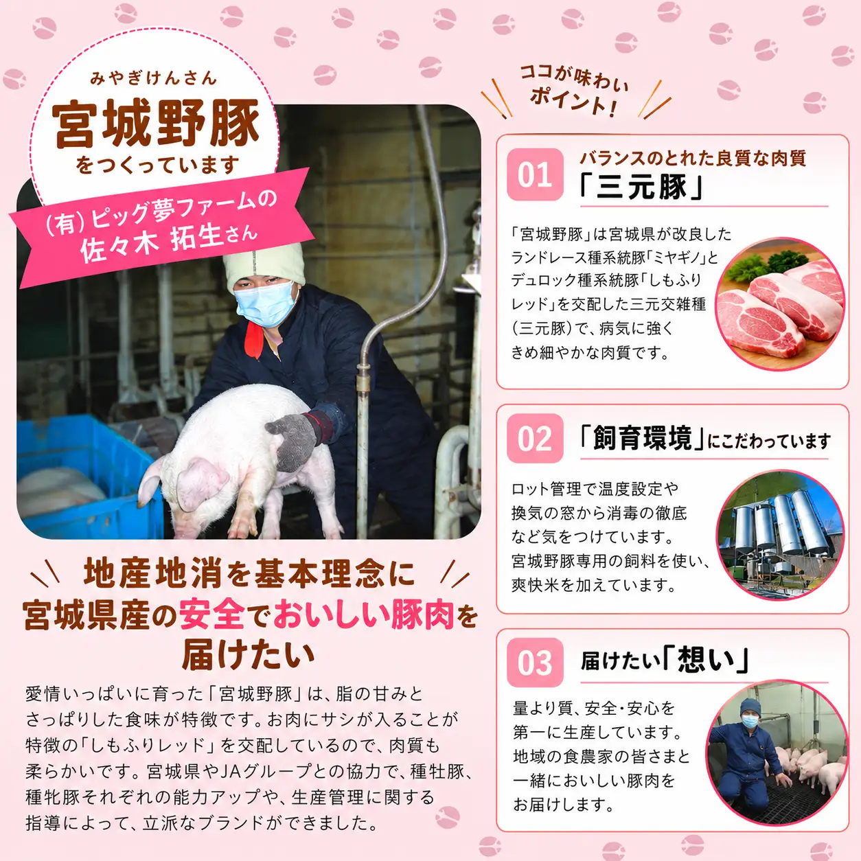 豚肉 切り落とし  涌谷町産 宮城野ポーク 豚切り落とし 1kg (250g×4p)【sari008】